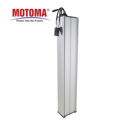 Batteria dell'OEM 12V 24V 50Ah 60Ah LiFePO4 per l'iluminazione pubblica solare del LED